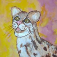 Spotted Cat